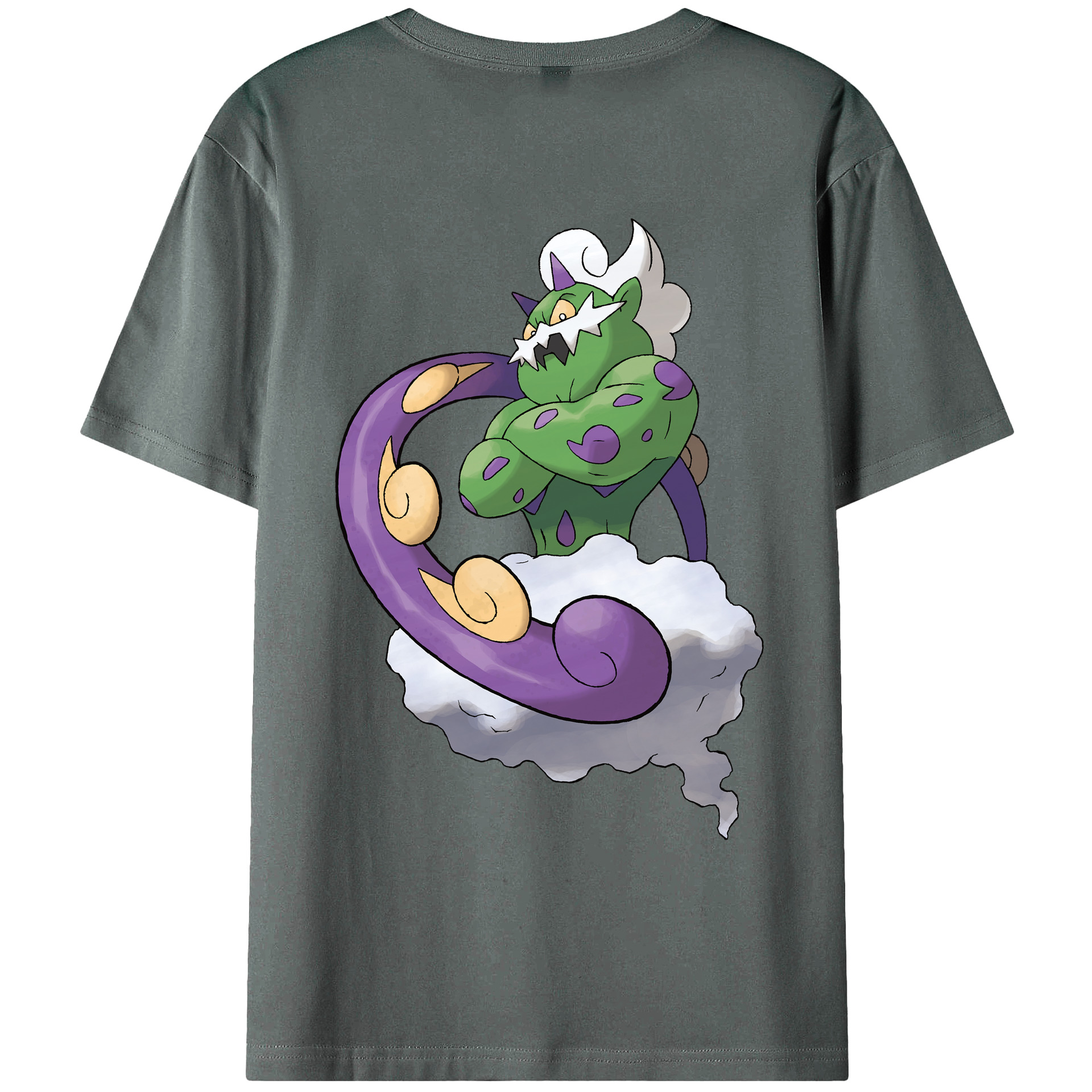 （画像用） ポケットモンスター Pokémon 綿100％ メンズ半袖Tシャツ（バックプリント） 通気性